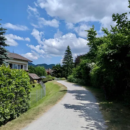 招待所 Alpen-chalet *