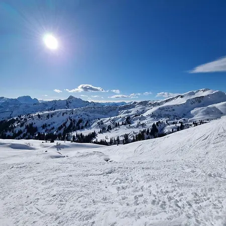 招待所 Alpen-chalet