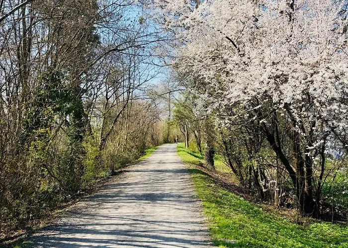 게스트하우스 Alpen-chalet 브레겐츠