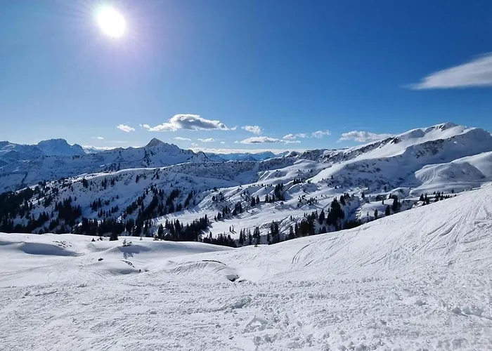 게스트하우스 Alpen-chalet